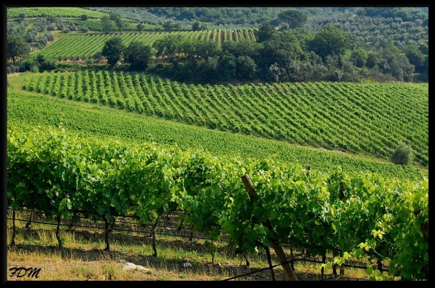 Magico Chianti tra pievi e piccoli borghi medioevali