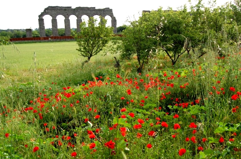 Roma - primavera nel parco archeologico degli acquedotti