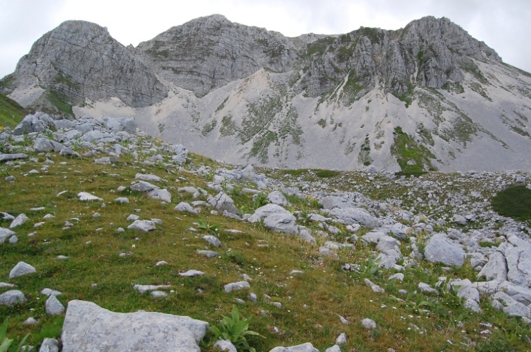 PNA - Nel regno del camoscio d''Abruzzo - monti della Meta