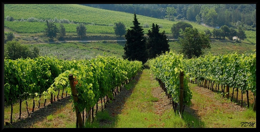 Magico Chianti tra pievi e piccoli borghi medioevali