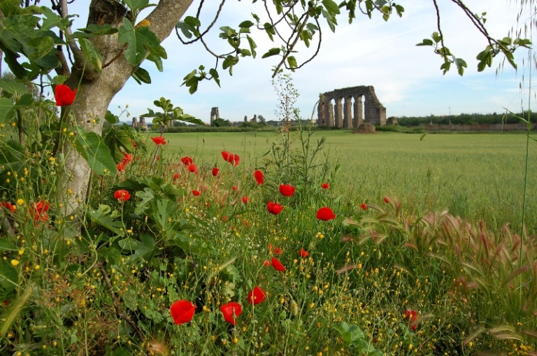 Roma - primavera nel parco archeologico degli acquedotti