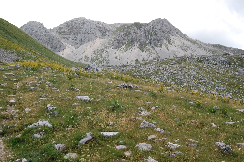 PNA - Nel regno del camoscio d''Abruzzo - monti della Meta