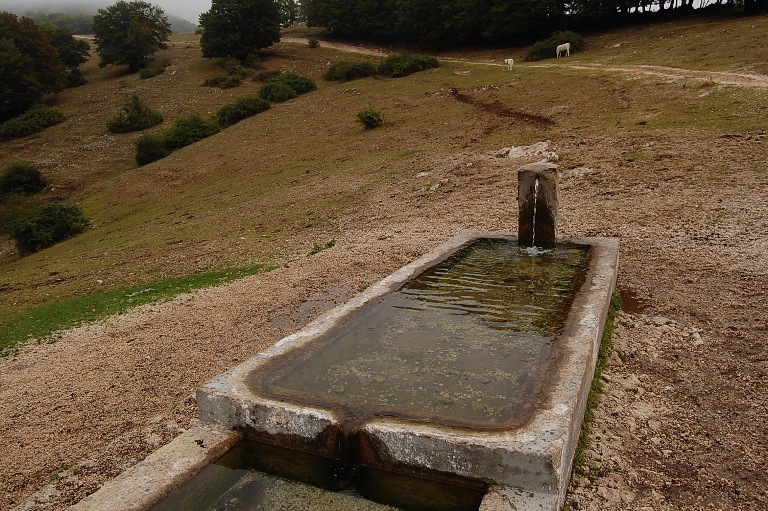 Fontanili del Lazio