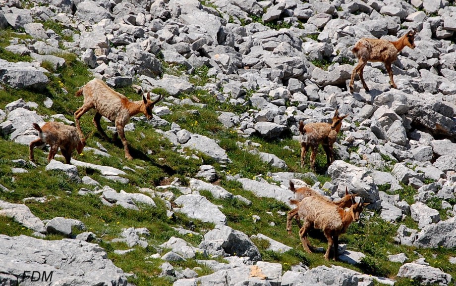 Giro ad anello sui monti della Meta