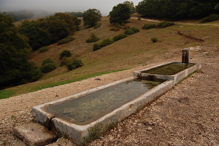 Fontanili del Lazio