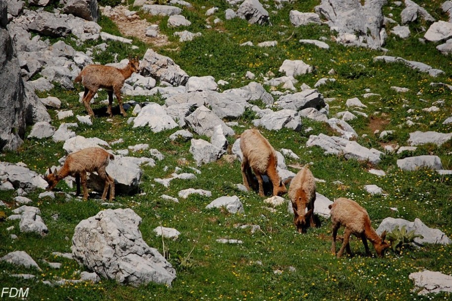 Giro ad anello sui monti della Meta