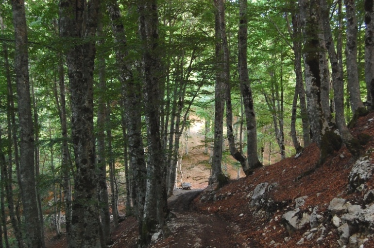 PNA - Nel regno del camoscio d''Abruzzo - monti della Meta