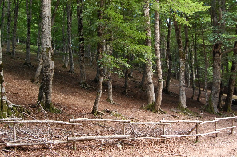 PNA - Nel regno del camoscio d''Abruzzo - monti della Meta