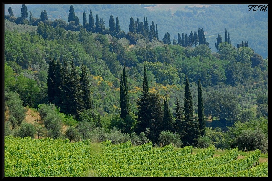 Magico Chianti tra pievi e piccoli borghi medioevali