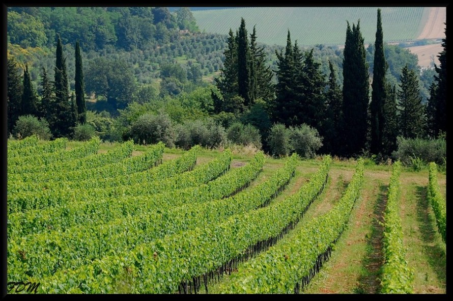 Magico Chianti tra pievi e piccoli borghi medioevali