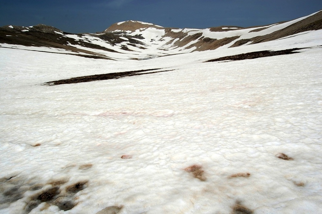 Majella d''acqua, di neve e di fiori.