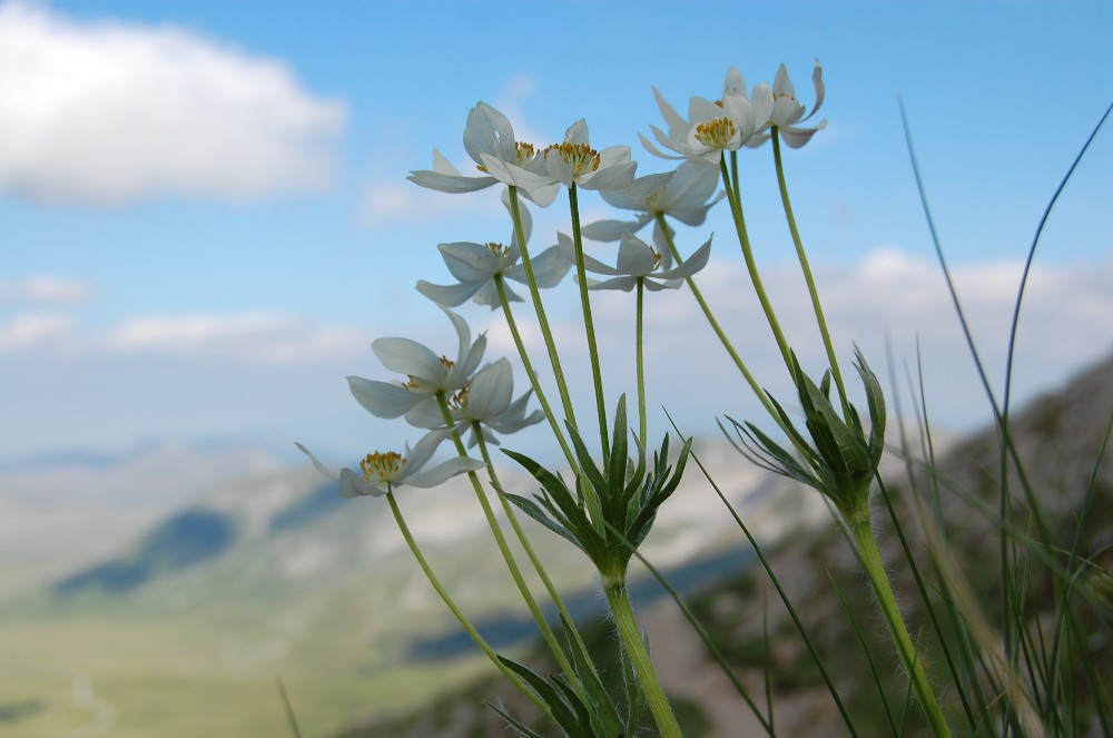 Gran Sasso d''Italia - salita al Corno Grande, 2912 mt.