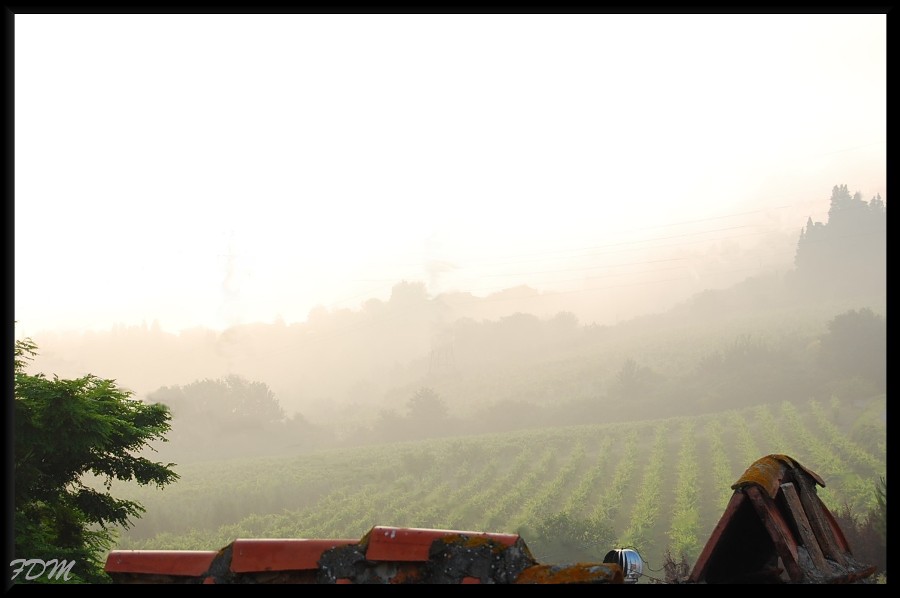 Magico Chianti tra pievi e piccoli borghi medioevali