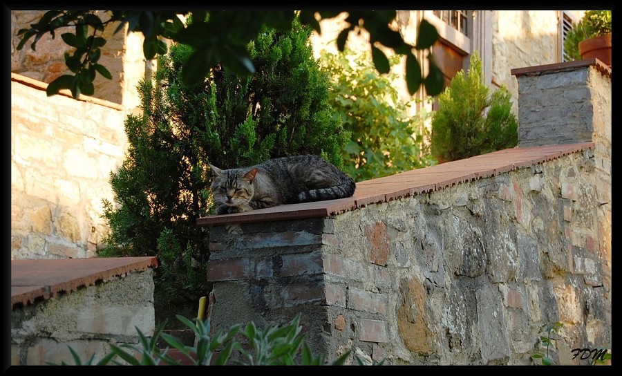 Magico Chianti tra pievi e piccoli borghi medioevali