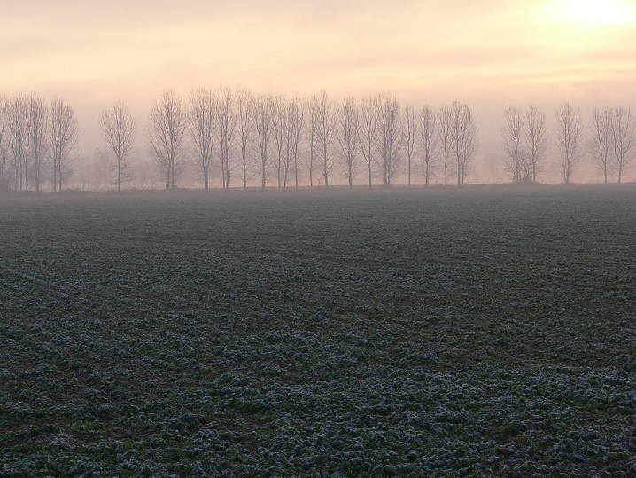 La pianura..........la nebbia.........