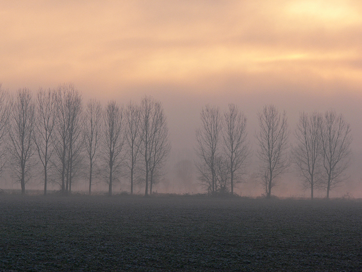 La pianura..........la nebbia.........