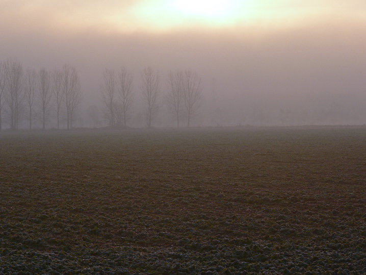 La pianura..........la nebbia.........