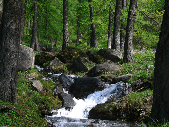 Scenari alpini