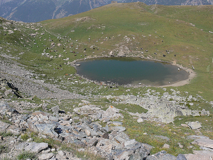 Scenari alpini