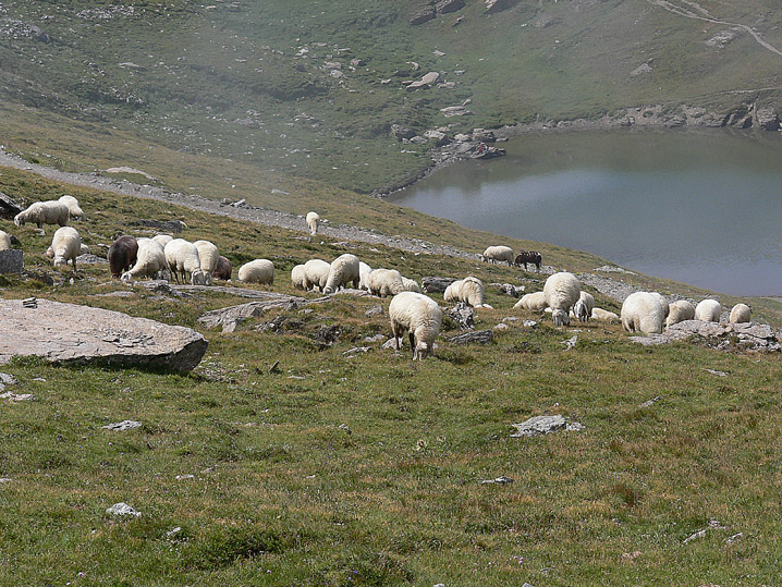 Ricordo di un''estate