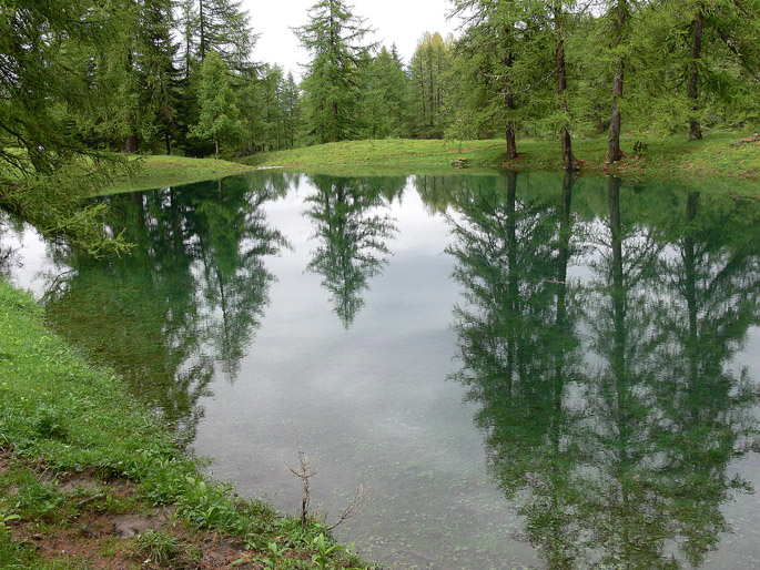 Scenari alpini