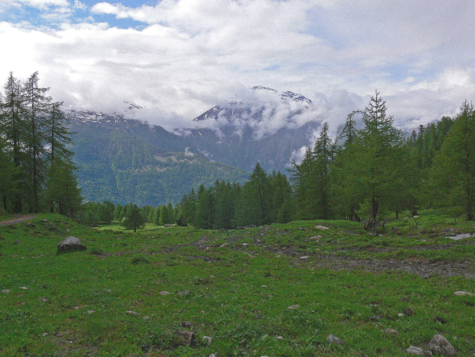 Scenari alpini