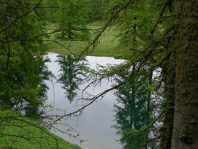 Scenari alpini