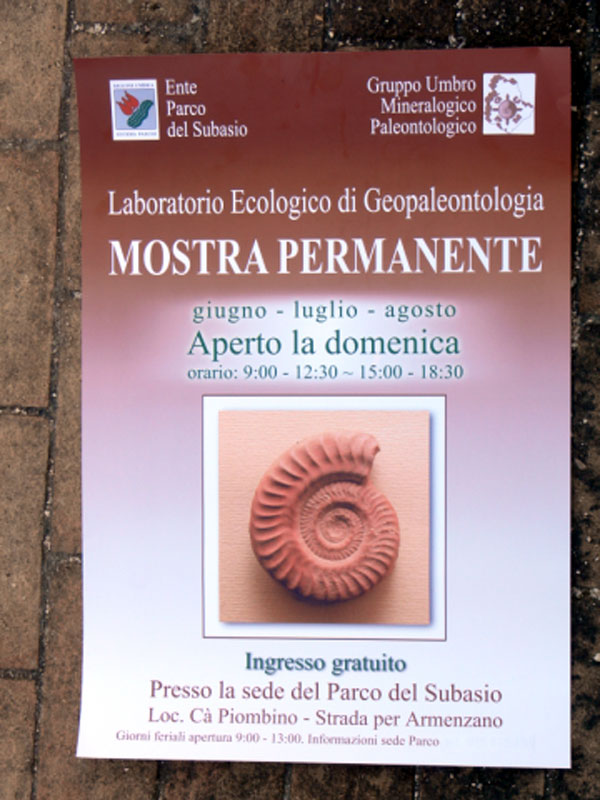 Aperture Domenicali Museo e Mostra permanente di Assisi