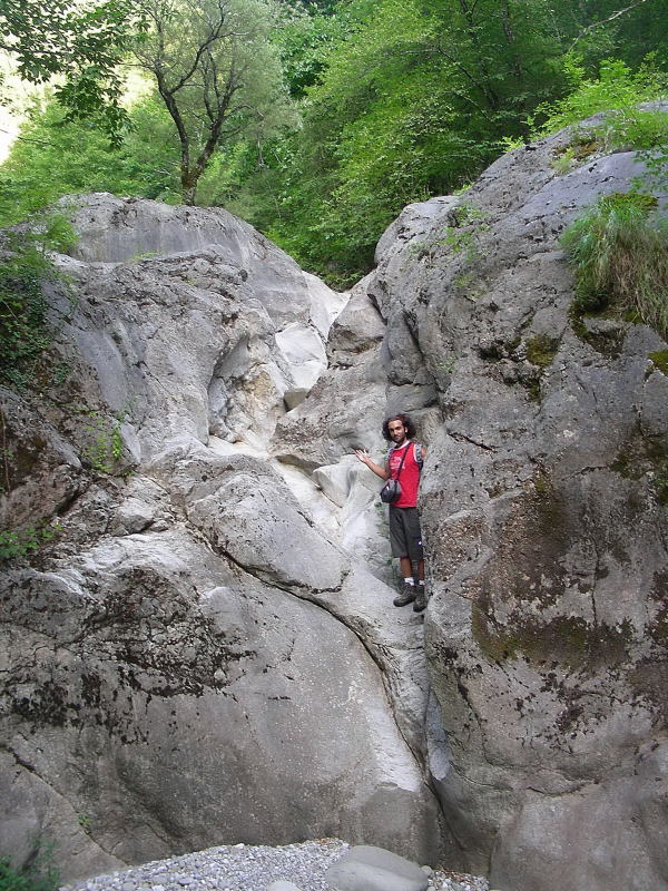 Ululoni in immersione