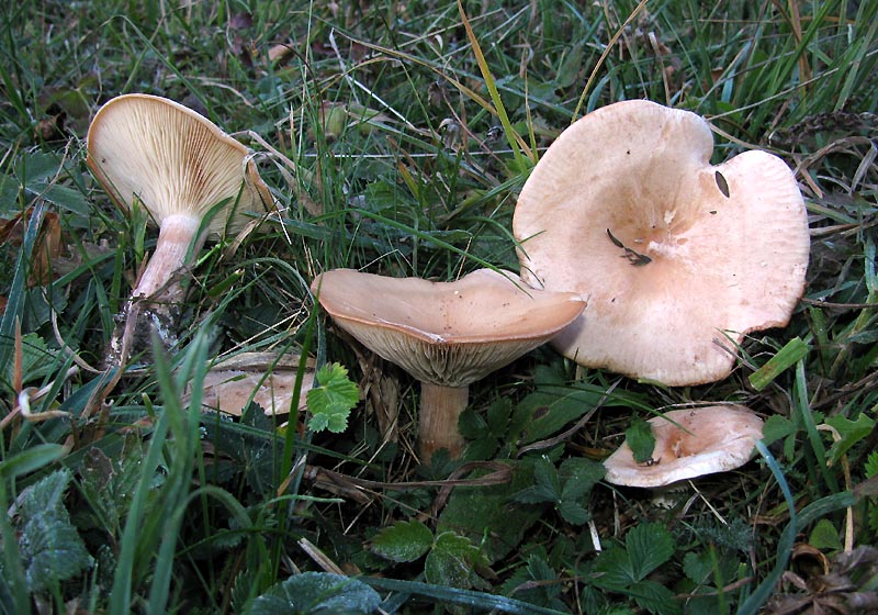 Un paio di giri nell''Appennino modenese