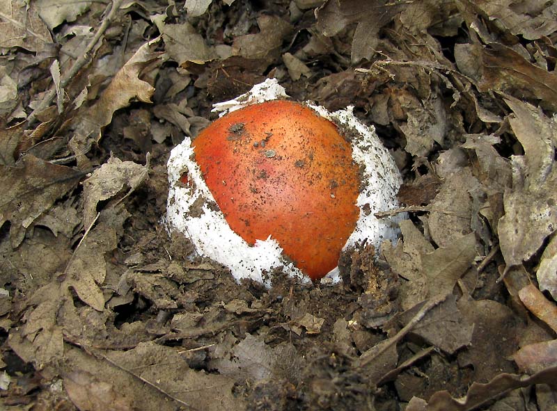 Un paio di giri nell''Appennino modenese