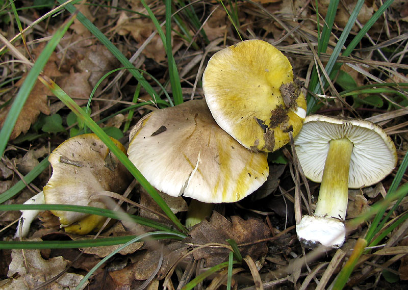 Un paio di giri nell''Appennino modenese