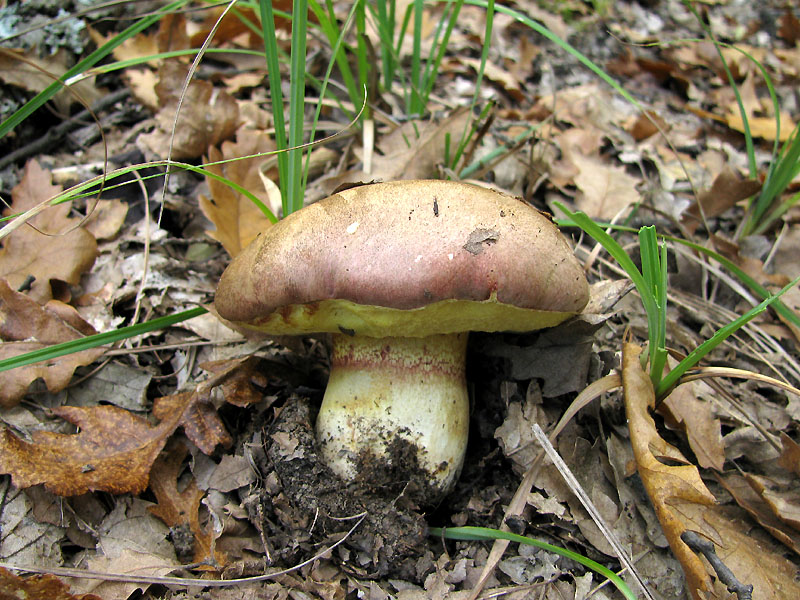 Un paio di giri nell''Appennino modenese