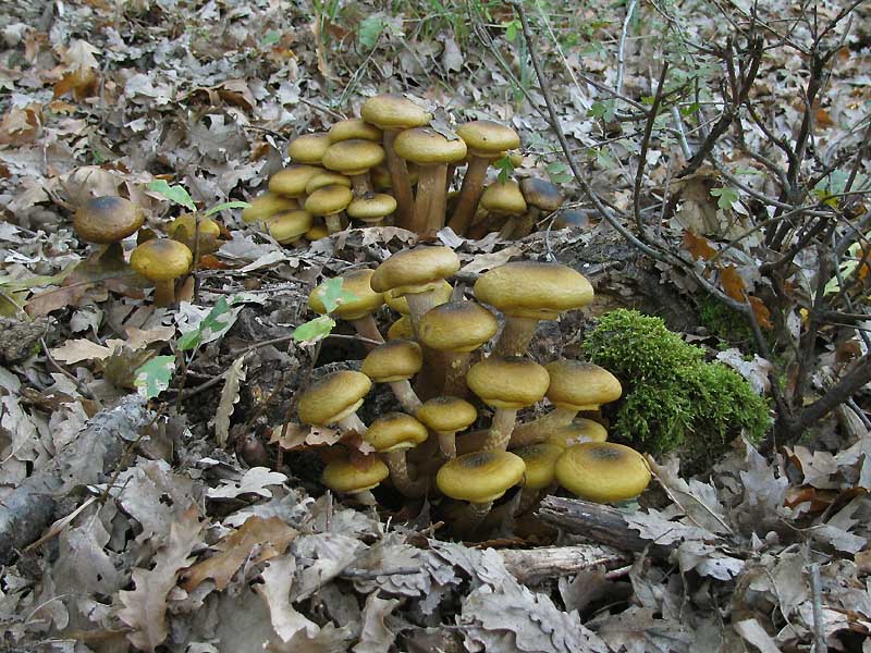 Un paio di giri nell''Appennino modenese