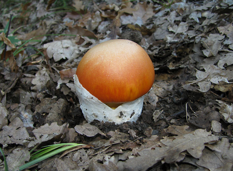 Un paio di giri nell''Appennino modenese