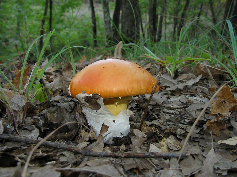 Un paio di giri nell''Appennino modenese