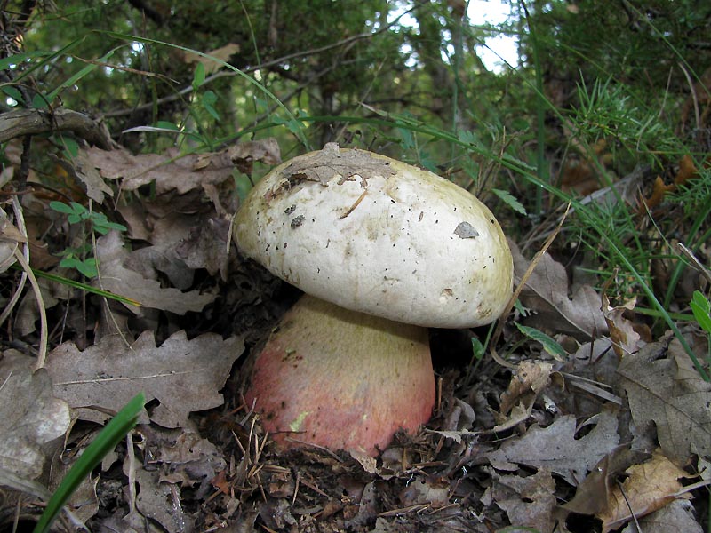 Un paio di giri nell''Appennino modenese