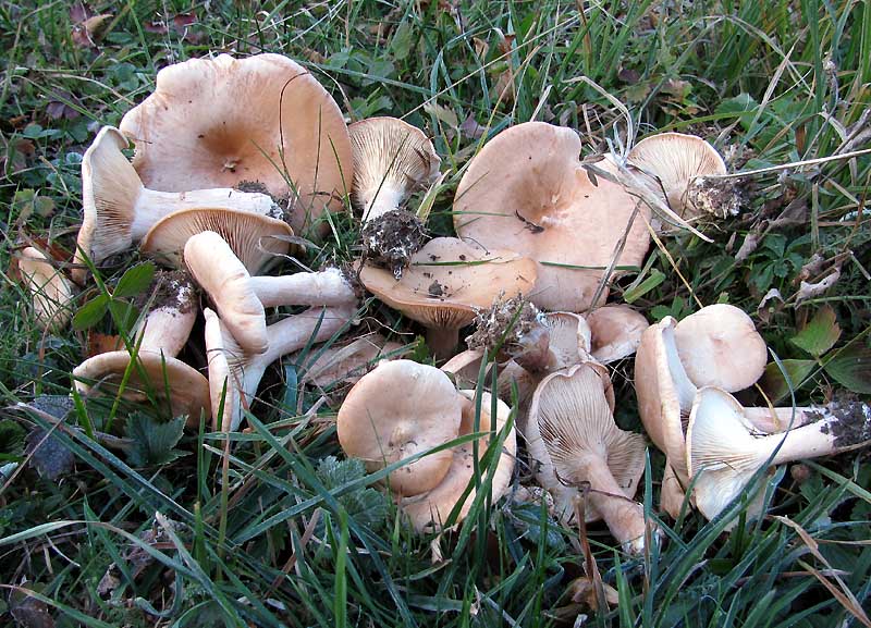 Un paio di giri nell''Appennino modenese