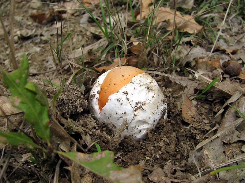 Un paio di giri nell''Appennino modenese