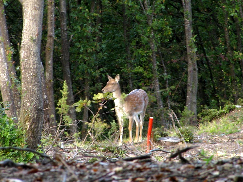 Un paio di giri nell''Appennino modenese