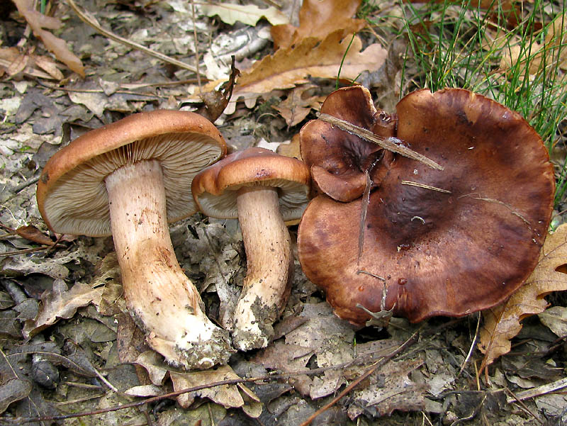 Un paio di giri nell''Appennino modenese