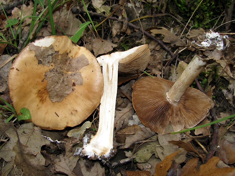 Un paio di giri nell''Appennino modenese