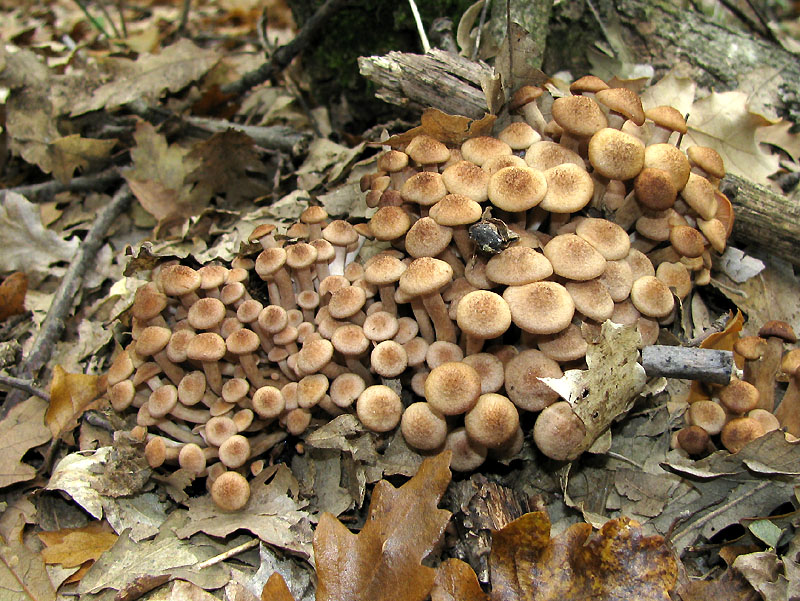 Un paio di giri nell''Appennino modenese