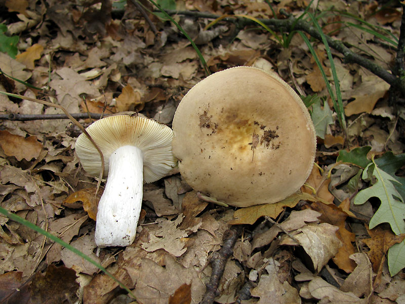 Un paio di giri nell''Appennino modenese