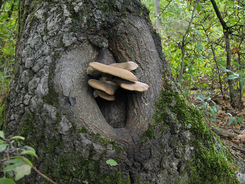 Un paio di giri nell''Appennino modenese