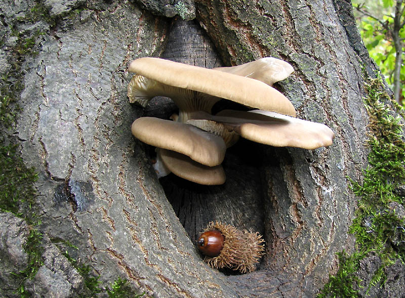 Un paio di giri nell''Appennino modenese