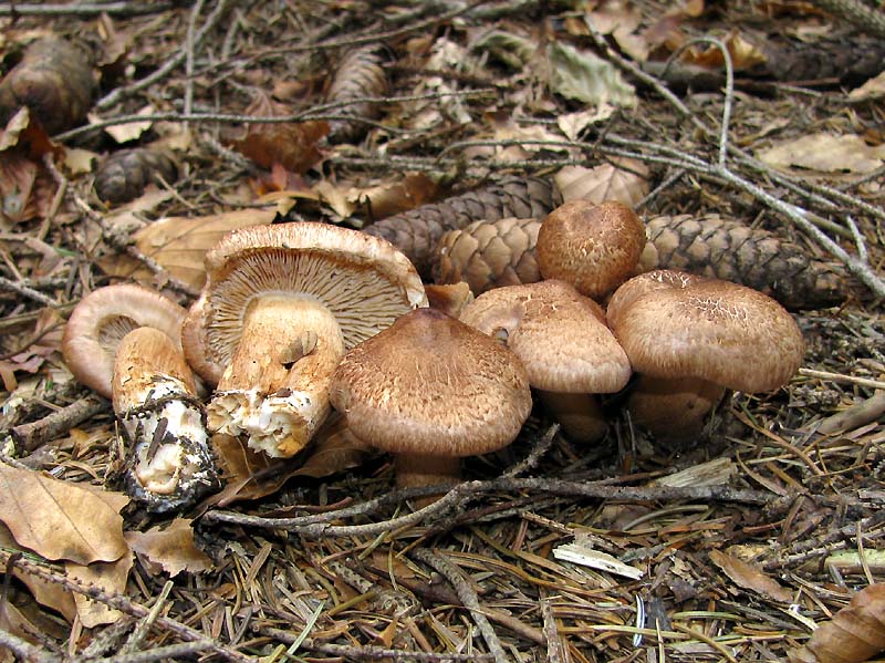 Un paio di giri nell''Appennino modenese