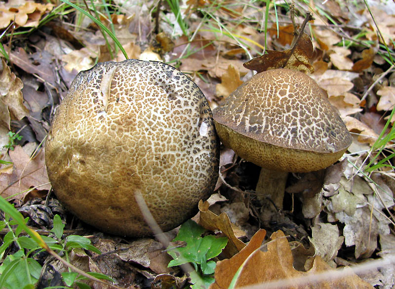 Un paio di giri nell''Appennino modenese