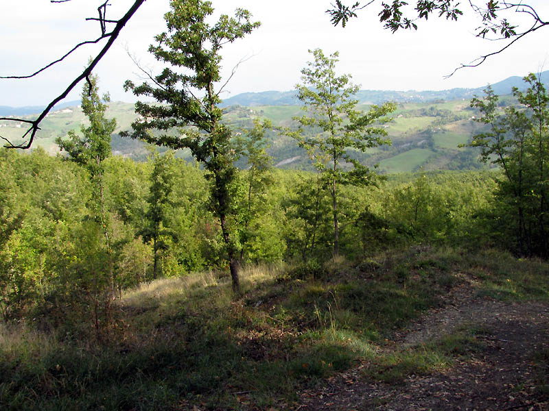 Un paio di giri nell''Appennino modenese