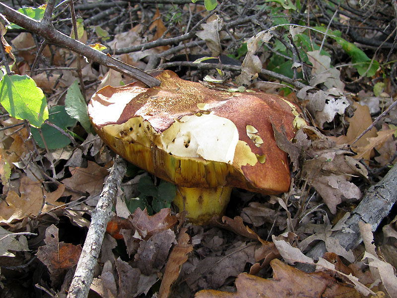 Un paio di giri nell''Appennino modenese